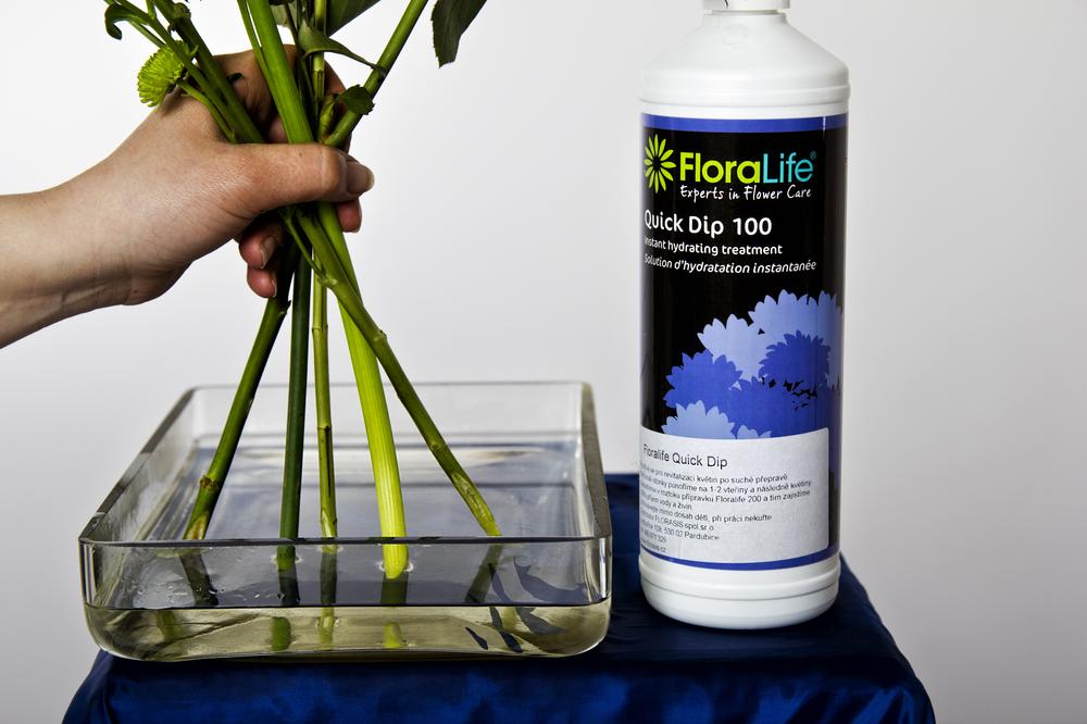 FLORALIFE®QUICK DIP 100 Florasis