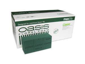 OASIS® CLASSIC