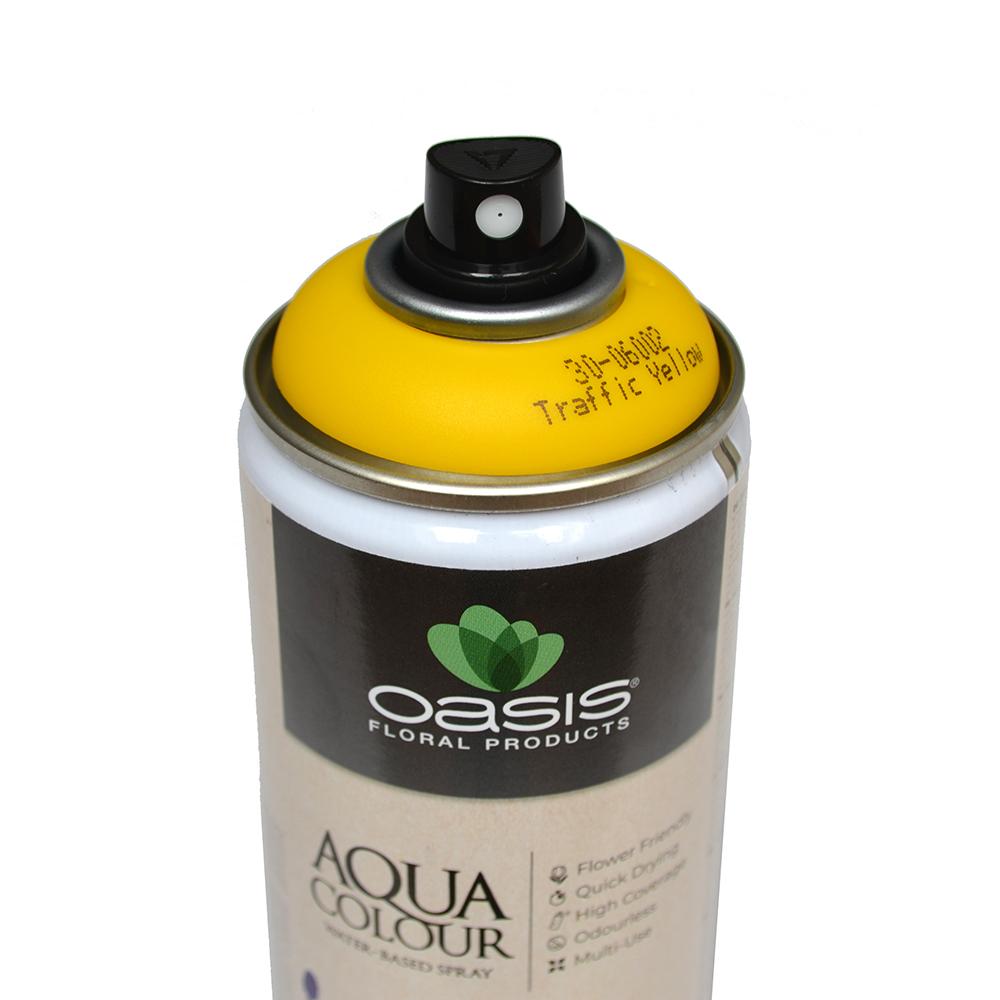 OASIS® Aqua Color Spray