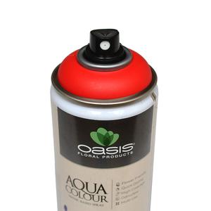 OASIS® Aqua Color Spray