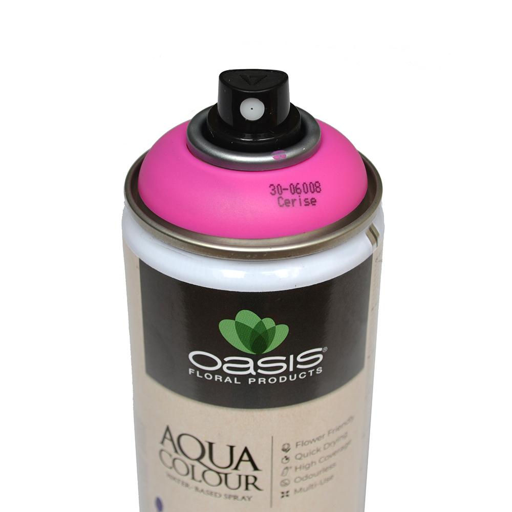 OASIS® Aqua Color Spray