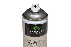 OASIS® Aqua Color Spray