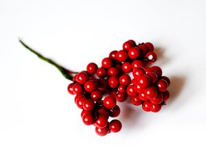Berry větvičky