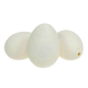 Husí vejce dekorativní