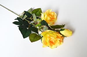 Růže 3 květy