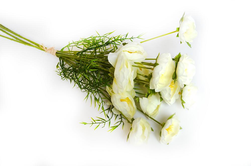 Ranunculus