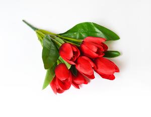 Tulipány