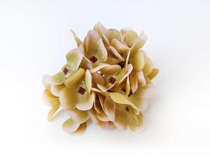 Hortenzie květ Hortenzie květ