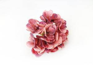 Hortenzie květ Hortenzie květ