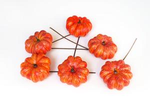 Dýně zápich, oranžová