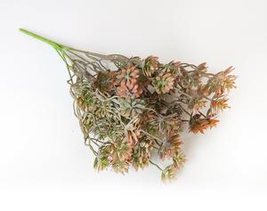 Svazek světlo hnědý