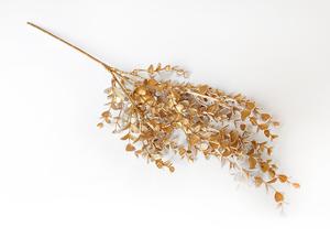 Eukalyptus větev