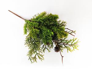 Větvičky se šiškami