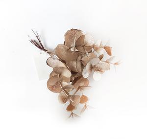 Eukalyptus mini