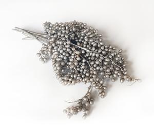 Větvičky s bobulkami