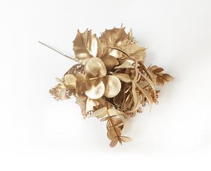 Větvička eukalyptus a šiška Větvička eukalyptus a šiška