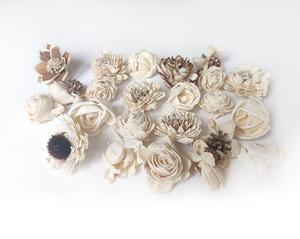 Květy sušina Květy sušina