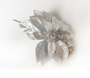 Vánoční růže Vánoční růže