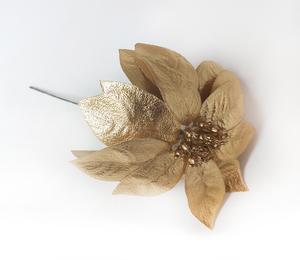 Vánoční růže Vánoční růže