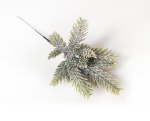 Jedle větvička Jedle větvička