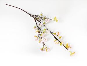 Větvička s květy Větvička s květy